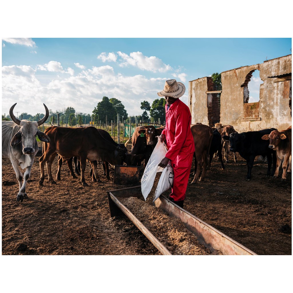 Trade Polycotton Conti Suit - Image 8